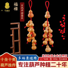 手编红绳葫芦串玄关客厅影视墙卧室葫芦串厂家批发十全十美挂件