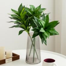 �ٺ������Gֲ����ľ��Ѫ���콶�����F�҃��쾰�廨��ˇ�bG�~