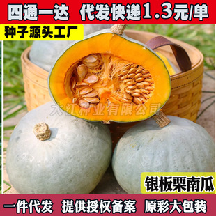 �y���ϹϷN�����ϹϽ��h�Ϲϰ�Ƥ�y���ϹϷN�Ѱ���ζ�����