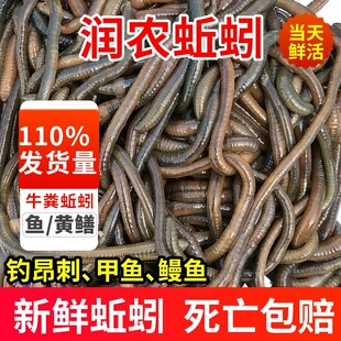 �����������S�X�r���������w�X�~�~�D ���r�����������