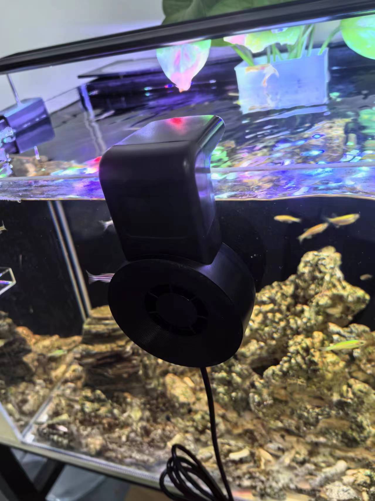 Disipación de calor y enfriamiento de la pecera Refrigeración con ventilador de acuario usb silencioso Enfriador pequeño externo Refrigeración y artefacto de enfriamiento