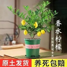 ļˮʘԾGֲֲ̨҃_ܷNֲYϱ҃