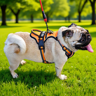 �羳�����ر����R�d���N����ʽ���Ի�Ȯ�ñ��������K������Ʒֱ��