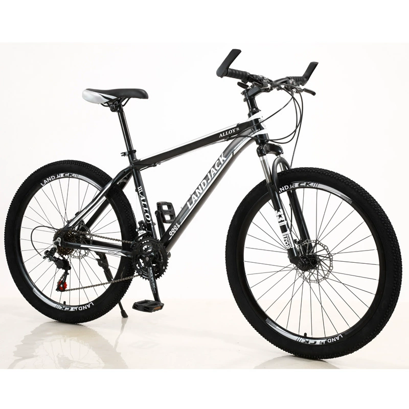 Shock-absorbing metal mountain mountain bike