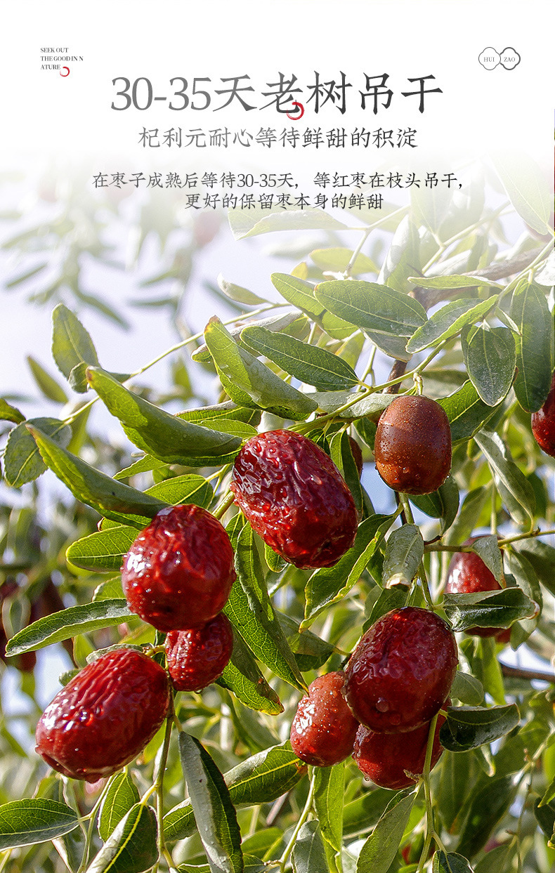 Dried Red Jujube Dates Hong Zao 500g Chinese Red Date Dried Fruit Snack quality and texture