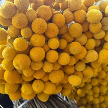 �S����ɻ����R�dС�JȔ��β��ܛë���m�M�ϻ��������b����b�