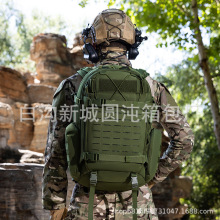 新3D战术背包特种训练双肩背包户外登山包多功能远行徒步狩猎背包