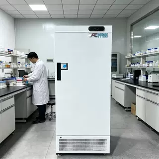188L立式实验室冷冻-25度生物样本试剂低温冷藏冰箱