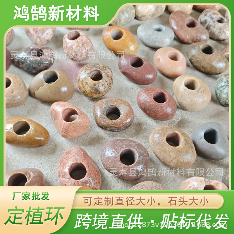 Aquatic Plant Planting Rings, Essential for Aquarium Landscaping, Perforated Pebbles with Planting Tools, Green Plant Stabilizers and Fixers