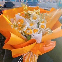 ᘿ�������Ʒ�hᘾ��Y�q���������˹�С������diy�������ƶY��