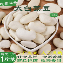 大白芸豆新云南特产白芸豆白扁豆农家自产干白云豆五谷粮500克
