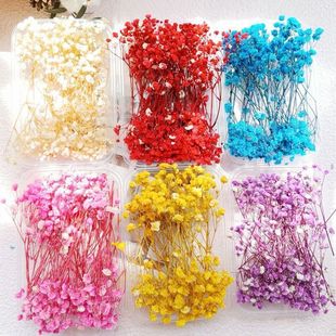 �M����diy�ɻ��İ����b[���廨ƿ�滨�ֶY������