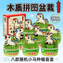 新年卡通小马绿植盆栽小学生DIY创意趣味小礼品桌面植物盲盒摆件