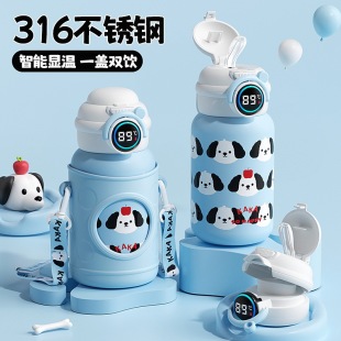 �¿�2025��ͯ�����ˮ���ر��W���όW����ˮ���к�ˮ��316���P�