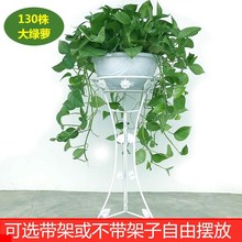 360��G�} �L�ٴ��� �͏d�҃����� �G�}�� ���U ����ˮ��G�jֲ��