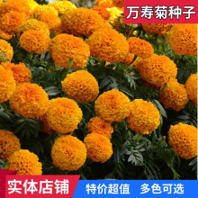 �f�۾շN�Ӿջ��N���ļ��׻��ɫ��ܽ�ػ��N����������ԷN�Ѱ��]