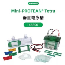 Bio-Rad ���� 1658001 1658000 Mini-ProteanTetra ��ֱ�����Ӿ