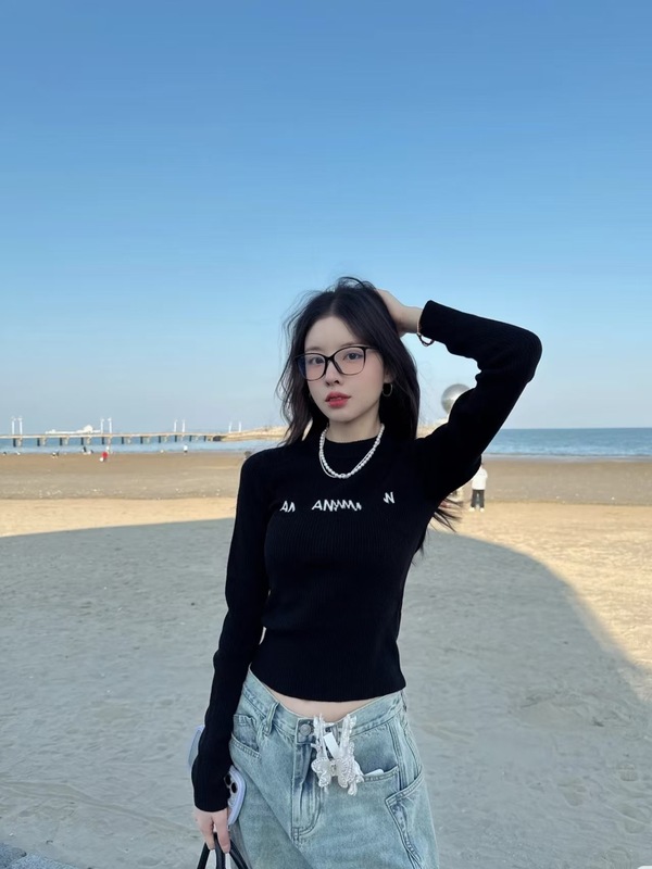 现货/ann2025早秋新款针织衫长袖打底衫字母提花logo毛衣修身款|undefined