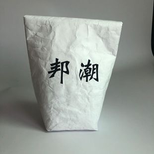 Dupont Paper Insulation Bag Guangzhou Factory