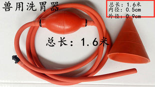 �i��ϴθ�� �F��ϴθ�� ���c�� θ�� ţ���� ��ș�� �F����е