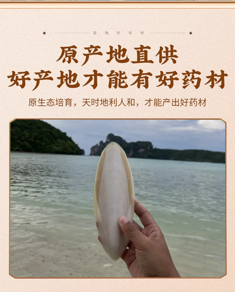 Cuttlefish Bone Hai Piao Xiao 海螵蛸 Dried Cuttlefish Bone Pieces 500g Traditional TCM Herb key features