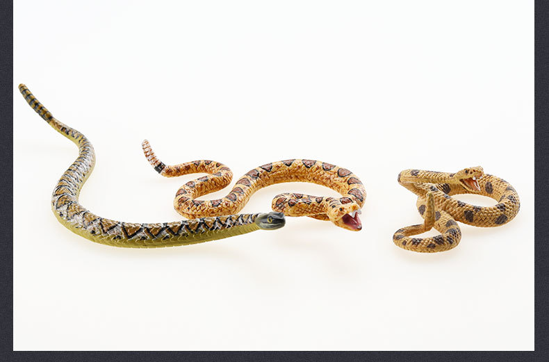 蛇系列-详情图_37.jpg