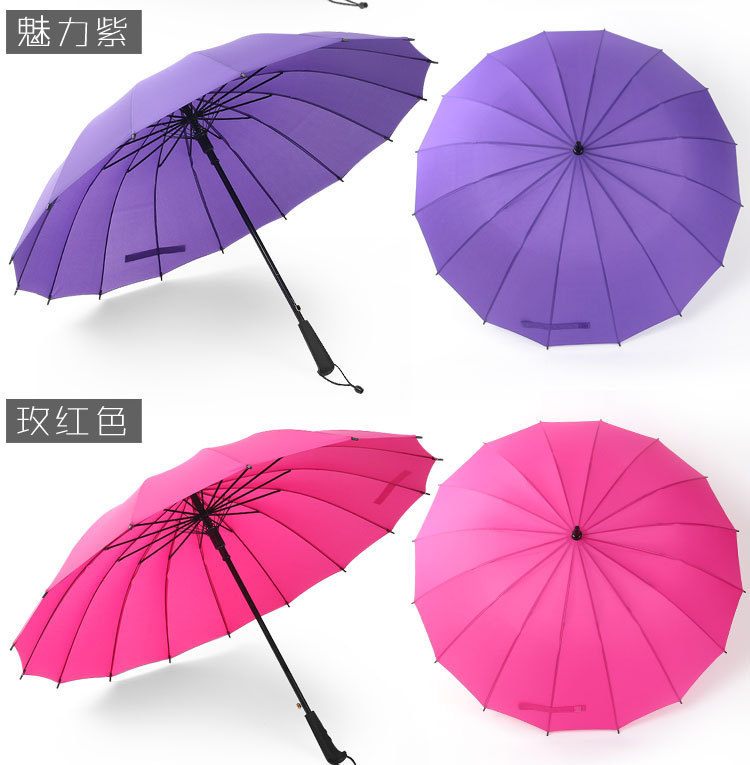 3642539184_410983418