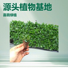 �҃��^�~�Gֲ����Gī�~���񽷲�΢���^������������ˮ���ļ����G