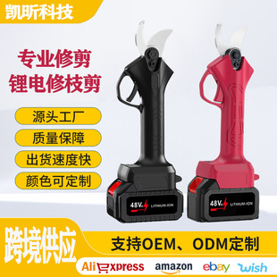 늄Ӽ�����֦�������֦����֦늼�����o���߿��޼��늟o����