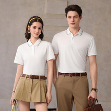 POLO��������LOGO�ֈD�������gɫ���I�Ļ���