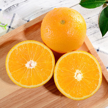 活动湖北秭归脐橙 代发3/5斤新鲜应季水果手剥橙子纽荷尔橙子