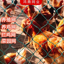 其他塑料网;安全绳