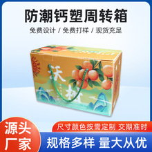 PE钙塑周转箱中转箱水果蔬菜运输箱橙子沃柑砂糖桔包装箱来图定制
