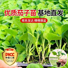 �ļ����������玧�����Լ޽���Ʒ�N���Ѻ��ѷN�Ѵ����߲�������