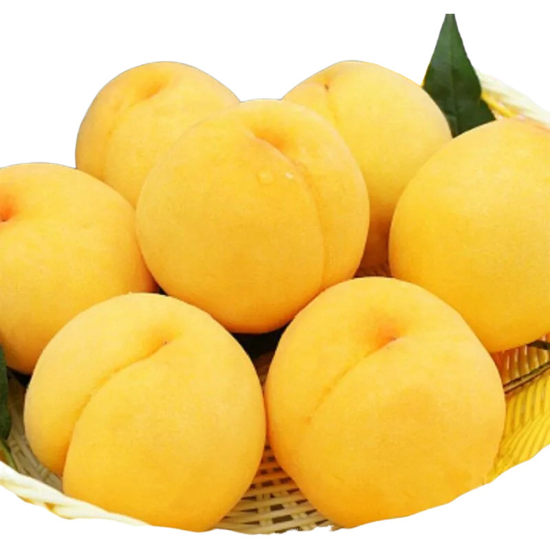 Shaanxi Yellow Peach Direct Delivery from the Place of Origin, Fresh Fruit, Yellow Peach with Free Shipping, Seasonal Fruit, Golden Honey Peach, One-Piece Drop Shipping Shaanxi Yellow Peach Direct Delivery from the Place of Origin, Fresh Fruit, Yellow Peach with Free Shipping, Seasonal Fruit, Golden Honey Peach, One-Piece Drop Shipping