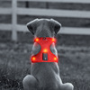 LED pet chest strap waterproof magneto -sucking chest strap USB charging lamp bead light pet supplies wholesale