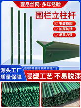 ���������F�z�W�������ϾW����y������ͥԺ���Ǒ�������T�F����