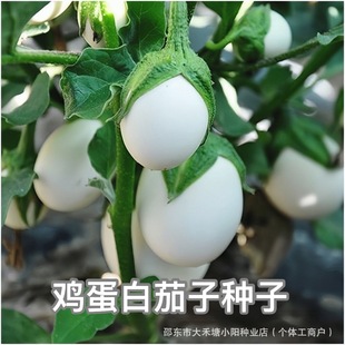 �u�����ѷN�Ӱ����ӷN�шA�ѹ��љE�A���ļ������ļ����Դ�