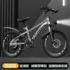 Bike spokes, bike shifter (brake handle), shock-absorbing set disc brake