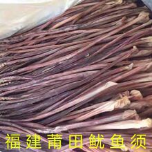 ���~���؛�����̖���~�ɸ����خa�̕��L���~횸ɺ��aƷ��؛���l