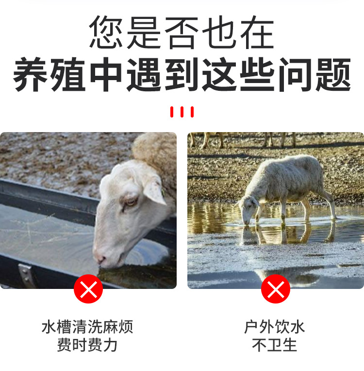 详情1_03.jpg