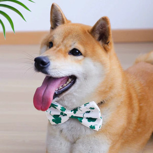 Refreshing Emerald Green Dog Bow Tie Shiba Inu Corgi Bow Tie Elastic Adjustable Style Non-Neck Strangulation Gentleman Shiba Inu