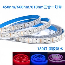 �t�������һ450nm/660nm/810nm�����Ο�180�����z��ˮ����