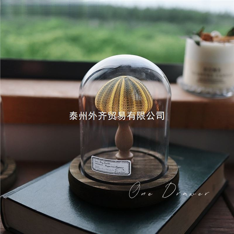 贝壳海胆海螺灯小夜灯海洋海岛复古摆件手工diy材料包中秋节礼物|undefined