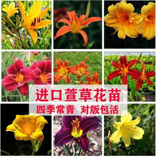 �G����������n���޸��ͺ���������ݻ���ر�ͥԺ�̨���Ի���