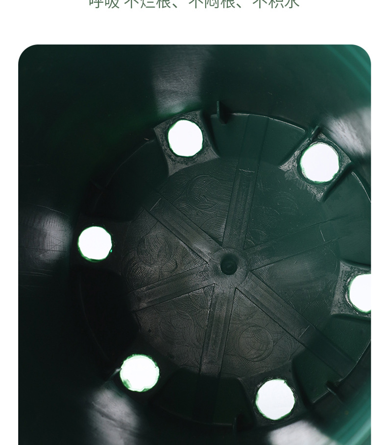 ������,��֬����,��������Բ�ڿظ�����,�¼��߿��ش�żӺ����ϻ���