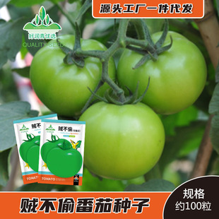 �\��͵�G���t���N����Ƥ���і|���G�����������O�����Ѳ��ѷN��