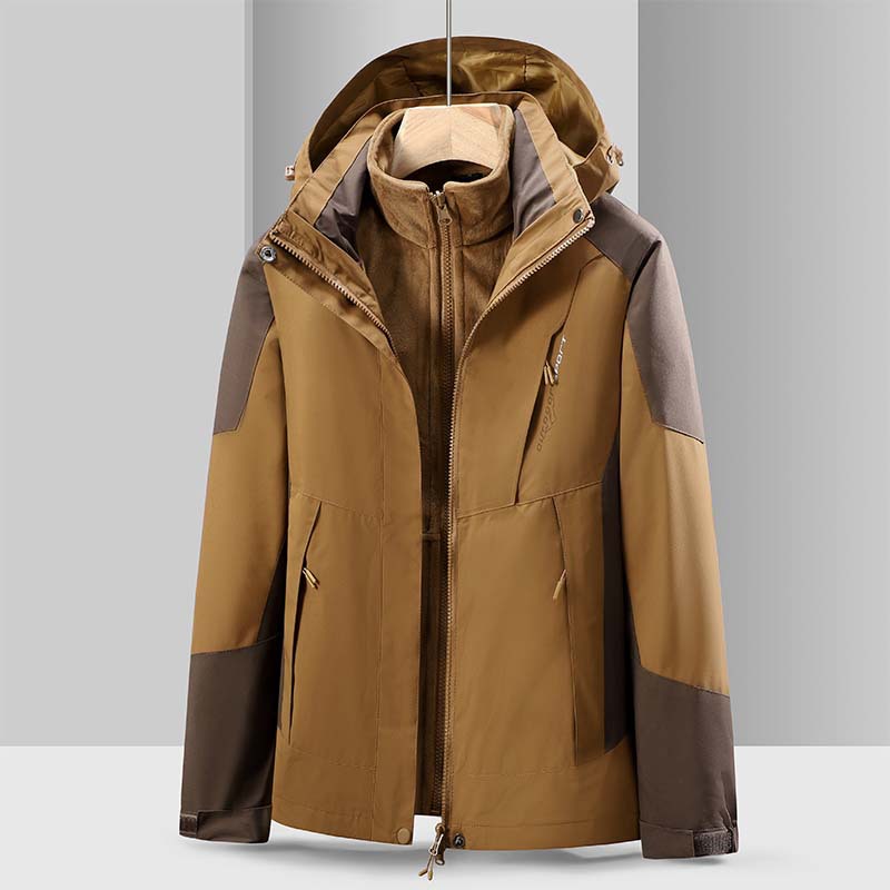 암컷 짙은 갈색 낙타