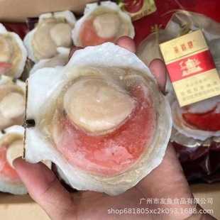 ���l�뚤�r����ؐ �����Ԫؐ���r�����뚤�r��ؐȫҎ��1KG*10��