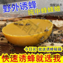 诱蜜蜂中蜂蜡土蜂蜡纯天然蜂蜡招蜂水抛光红木保养意蜂巢脾诱蜂蜡